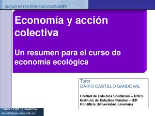 Economía y acción colectiva Un resumen para el curso de economía ecológica