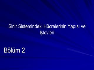 Sinir Sistemindeki Hücrelerinin Yapısı ve İşlevleri