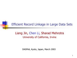 Efficient Record Linkage in Large Data Sets