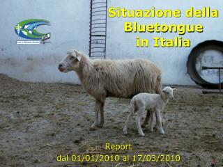 Situazione della Bluetongue in Italia