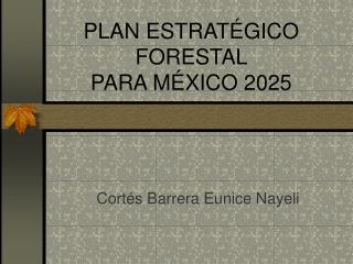 PLAN ESTRATÉGICO FORESTAL PARA MÉXICO 2025