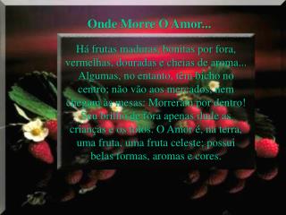 Onde Morre O Amor...