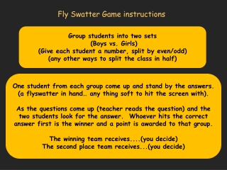 Fly Swatter Game instructions