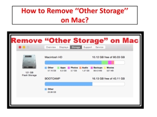 How to Remove ‘‘Other Storage’’ on Mac?