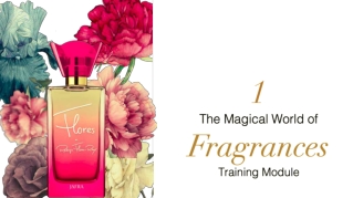 The Magical World of Fragrances Training Module
