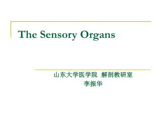 The Sensory Organs