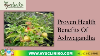 Proven Health Benefits of Ashwagandha