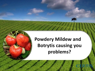 Powdery Mildew and Botrytis causing you problems?