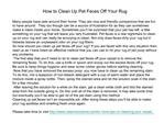 How to Clean Up Pet Feces Off Your Rug