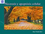 Necrosis y apopt sis celular