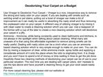 Deodorizing Your Carpet on a Budget