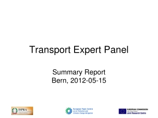 Transport Expert Panel