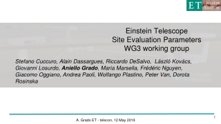 Einstein Telescope Site Evaluation Parameters WG3 working group