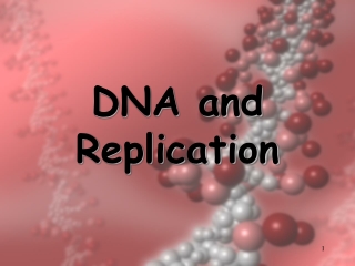 DNA and Replication