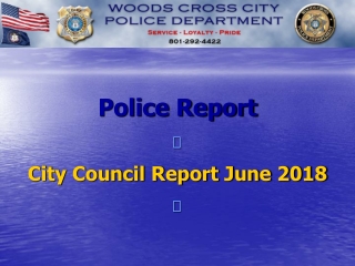 Police Report  City Council Report June 2018 