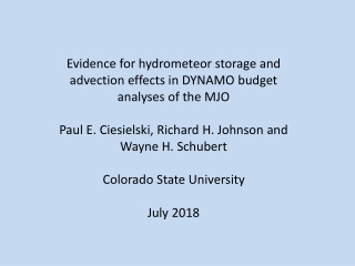 Evidence for hydrometeor storage and advection effects in DYNAMO budget analyses of the MJO