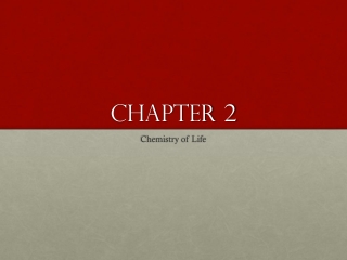 Chapter 2