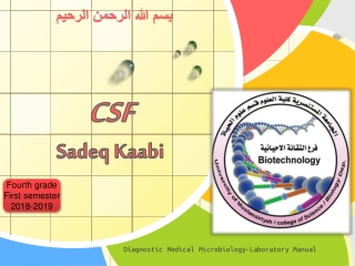 CSF Sadeq Kaabi