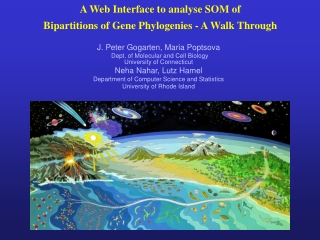 A Web Interface to analyse SOM of Bipartitions of Gene Phylogenies - A Walk Through