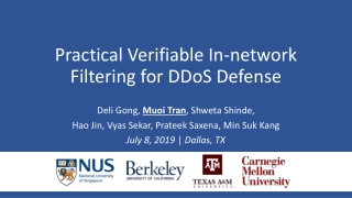 Practical Verifiable In-network Filtering for DDoS Defense