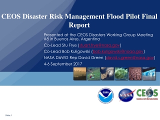 CEOS Disaster Risk Management Flood Pilot Final Report