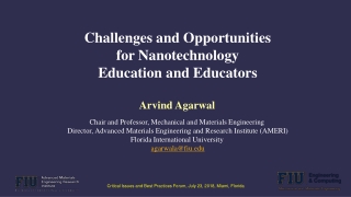 Challenges and Opportunities for Nanotechnology Education and Educators