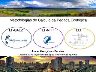 Lucas Gonçalves Pereira Laboratório de Engenharia Ecológica e Informática Aplicada