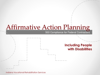 Affirmative Action Planning