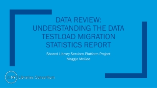Data Review: Understanding the Data TestLoad Migration Statistics Report