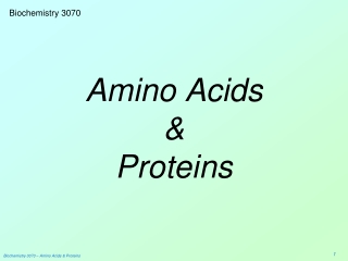 Amino Acids &amp; Proteins