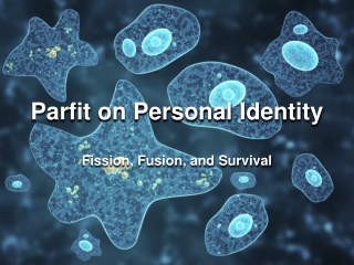 Parfit on Personal Identity