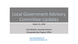 Local Government Advisory Committee Updates