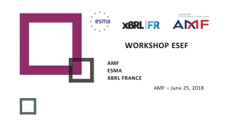 Workshop ESEF AMF ESMA XBRL France