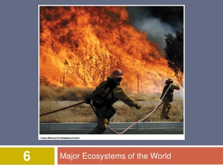 Major Ecosystems of the World