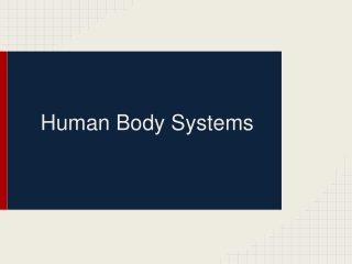 Human Body Systems