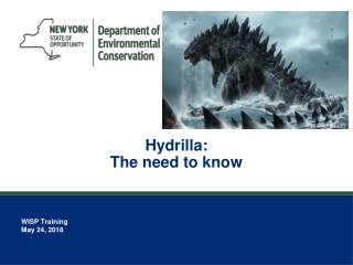 Hydrilla: The need to know