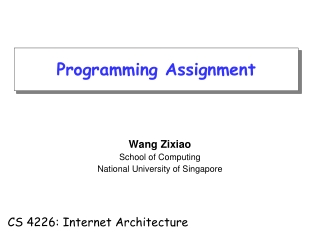 Wang Zixiao School of Computing National University of Singapore