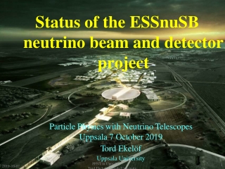Status of the ESSnuSB neutrino beam and detector project