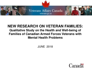 Understanding the Needs of Veteran Families: Building an Evidence Base