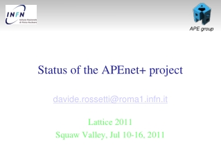 Status of the APEnet+ project