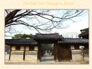 The Best Tour Package in Korea