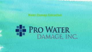 Water Damage Extraction