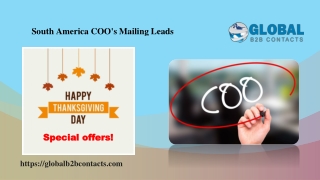 South America COO's Mailing Leads