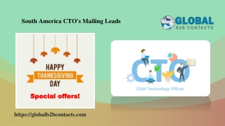 South America CTO's Mailing Leads