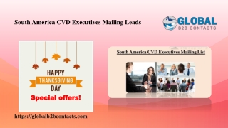 South America CVD Executives Mailing Leads