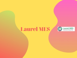 Best Mes Soliution Provider | LAUREL MES