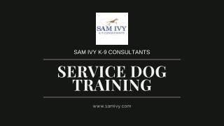 In Home Service Dog and Therapy Dog training In Fort Lauderdale