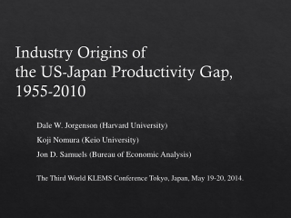 Industry Origins of the US-Japan Productivity Gap, 1955-2010