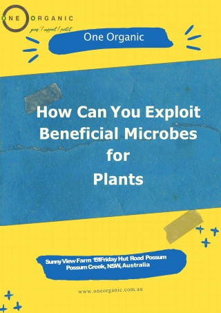 Beneficial Microbes for Plants | Medicinal Flowers Nursery | One Organic