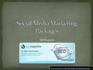 Social media marketing packages by SEOExperts